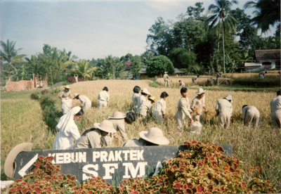 4227 Landbouw Indonesië, 1991