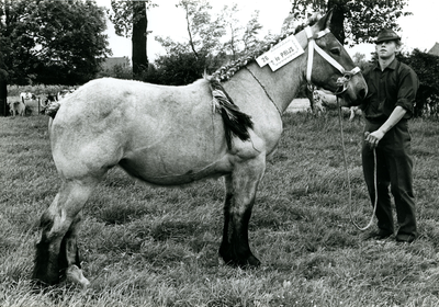 4237 Paardenfokdag Roermond, 1960-1966