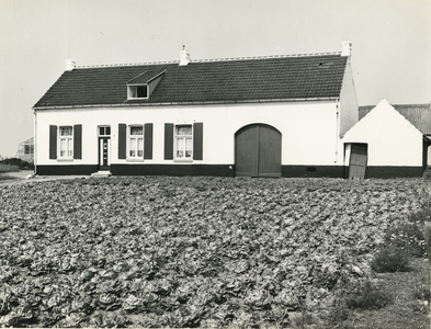 4256 Boerderij in Venlo, 1965-1980