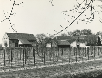 4260 Boerderij in Nieuwstadt, 1960-1980