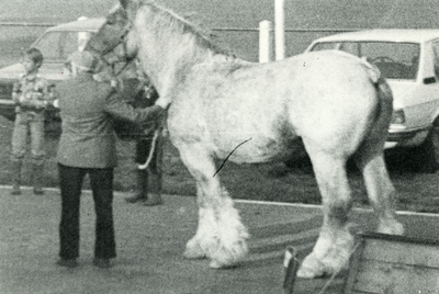 4279 Paardenfokdag, 1960-1980