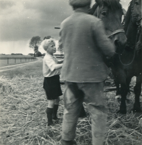 4317 Twee paarden voor een wagen worden voor een wagen gespannen, 1938-1939