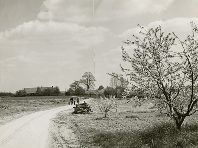 4369 Landschap, 1960-1970