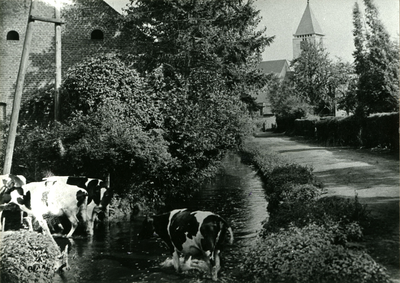 4399 Nieuwstadt, 1930-1960