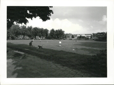  Grasveld met spelende mensen en honden op Bernoulliplein Bernoulliplein, Groningen 100581