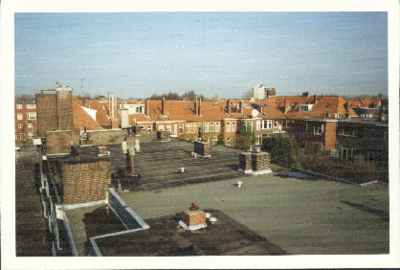  Daken landschap Bernoulliplein, Groningen 100581
