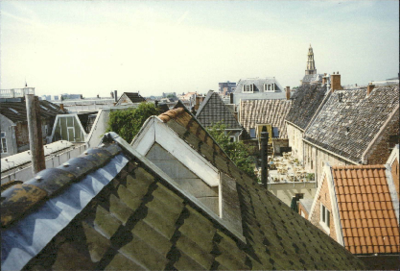  Zicht over nok van daken Gelkingestraat 25, Groningen 100644