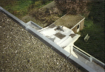  Plat dak van uitbouw met verbogen dakbedekking Heresingel 15, 17, Groningen 100658