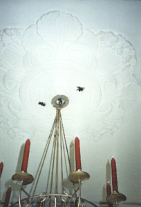  Middenornament van stucplafond met moderne kroonlichter en twee spinnen Munnekeholm 12, Groningen 100682