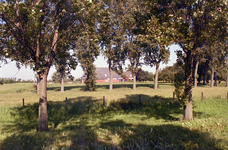  boerderij, weiland, akker, bomen Euvelgunne, omgeving Pop Dijkemaweg, Meedenpad, Groningen