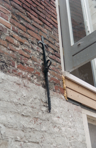  Detail achtergevel met lelie-muuranker Akerkhof 25, Groningen 100759