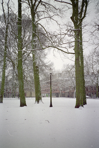  Guyotplein in de sneeuw Guyotplein 102192, 102193