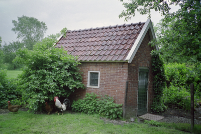  Bakhuisje met kippen en haan Euvelgunnerweg 31, Groningen 150679