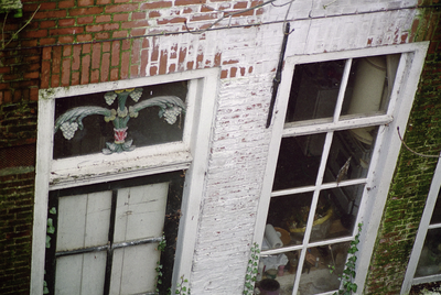  Achterdeur en bovenlicht met levensboom met druiventrossen Spilsluizen 18, Groningen 103310