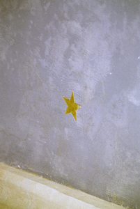  Blauw geschilderd gewelf met gouden ster in Martinikerk Martinikerkhof 3, Groningen 102538