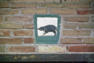  Gevelsteen met varken in voorgevel kleine schuur Beijumerweg 19, Groningen 103728