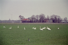  Groningerweg 46, Groningen 100620