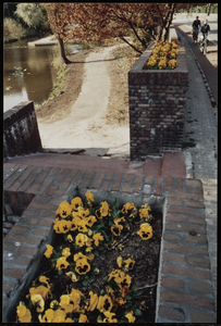  muurwerk met plantenbak, trappartij, parkstrook, wandelpad langs water to. Petrus Campersingel 203, 205, Groningen 106526