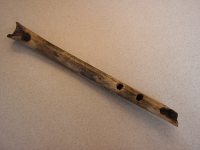  Een fluitje dat is gemaakt van de ellepijp van een gans. Het werd in een kuil aan de marktkant gevonden (datering ...