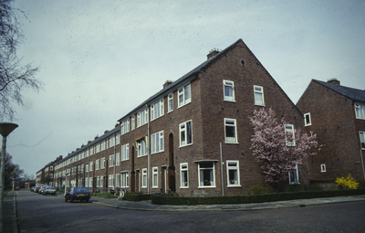  Straatbeeld met woningbouwcomplexen en bloeiende prunus Adriaan van Ostadestraat 123, 125, 127, 129, Meindert ...