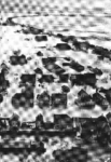 406546 De Watersnood van 1953, Datum onbekend.