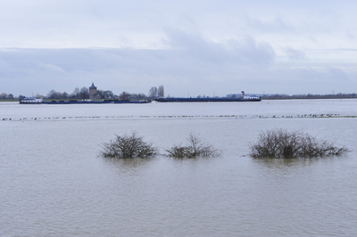 419605 Hoogwater in de Waal, 2011-01-01