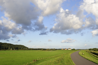 419768 Natuur Middelwaard, 2010-09-01