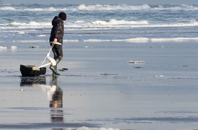 509060 Ameland, 2019-01-03