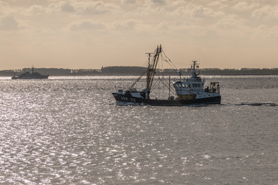 509767 Vissersboot ARM25 - DEO VOLENTE Eurokotter voor de kust van Vlissingen-3, 2019-10-29