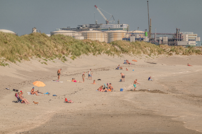 510774 Westerschelde - strandje bij Vlissingen Oost, 2019-06-28