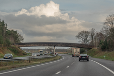 511186 A4-ecoduct nabij Bergen op Zoom-4.jpg, 2020-02-26