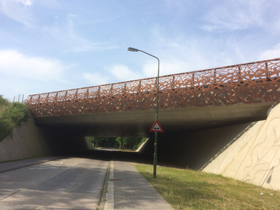 20230005 Ecoduct Zwaluwenberg ten zuiden van Hilversum, 2017-06-22
