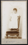 42 -43 Portret van een kind, staand op een stoel., 1893-01-01