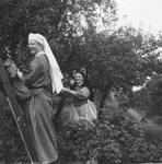 178002 Zuster Aurelia en zuster Waldrada plukken fruit in de tuin van het oude moederhuis te Breda