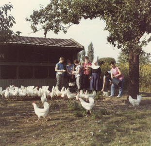 174694 De kippen worden gevoerd bij het internaat te Posterholt
