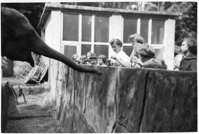 222398 Bethanië-kinderen naar het dierenpark tijdens het vakantiekamp, Amersfoort