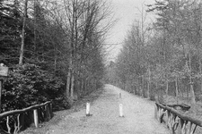  Het ruiterpad in het verlengde van de Diederichslaan richting Arnhemsebovenweg, tussen Heidetuin en Seminariebos (foto ...