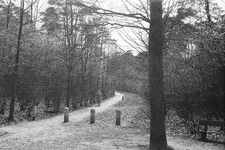  Het ruiter- en bospad tussen het Seminariebos en de Heidetuin, gezien vanaf de Arnhemsebovenweg (foto 39 in de scriptie)