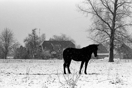  Achterberg in de sneeuw