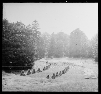  Landschap met hooimijten in de omgeving van het huis