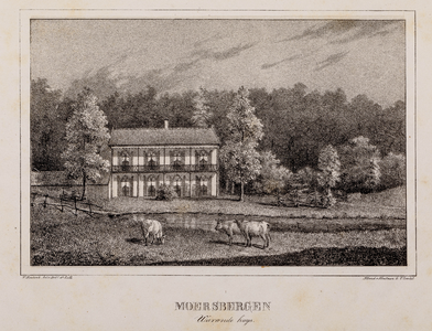  Gezicht op de voorgevel van het warandehuis van huis Moersbergen, met vijver en twee koeien op de voorgrond, te Doorn