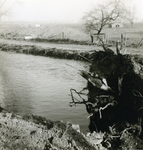  Stormschade aan de Lagedijk door omgewaaide bomen tijdens een storm in november 1967.