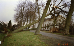 Omgewaaide bomen bij het oude station als gevolg van een storm op 25 januari 1990.