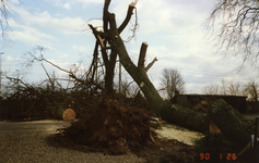  Omgewaaide bomen bij het oude station als gevolg van een storm op 25 januari 1990.