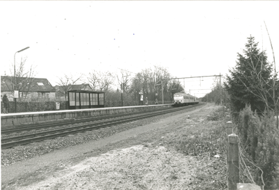 4713 - Bodem langs het spoor in Wezep vervuild.