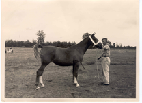 70a - Winnares paardenfokdag.