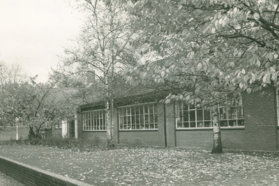 9641 - Gereformeerde gemeenteschool; foto van het gebouw; op voorgrond bomen in herfsttooi