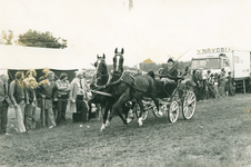 14268 - Tuigpaarden Hierden, Van Weeghel uit Hattemerbroek