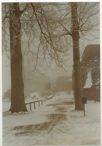 16434 - Winters landschap. Twee kale bomen met een pad er tussen. Links een hekje, rechts een brievenbus. Een boerderij ...
