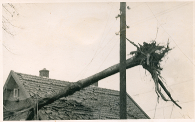 16711 - Een vliegtuigbom vernielde de spoorwegrails. Het huis is zwaar beschadigd en een boom raakte ontworteld en ...